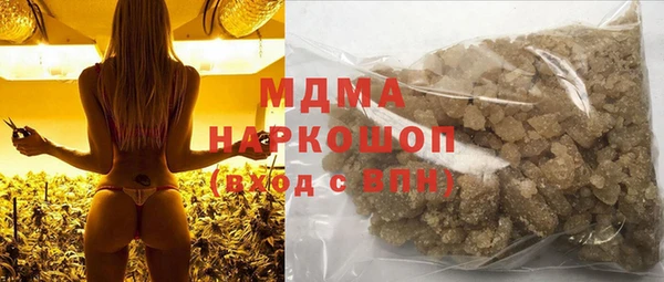 индика Бронницы